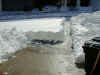 Snow Jan 00 A.jpg (218578 bytes)